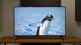 Panasonic W90A 65-inch TV on wooden AV bench showing penguin on screen