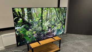 Sony Bravia 9 Mini LED TV on wooden TV rack showing forest on screen