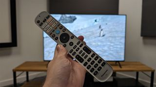 Panasonic W90A 65-inch TV remote control in hand in front of TV screen showing penguins in snow