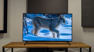 Panasonic W90A 65-inch TV on wooden AV bench showing big cat on screen